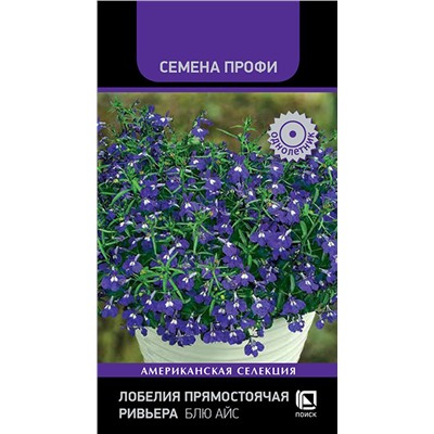 Лобелия прямостоячая Ривьера Блю Айс, 10 шт мультидраже