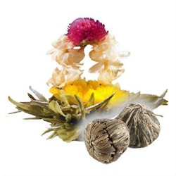 Связанный чай с цветком «Рождение Венеры» (И/У)
