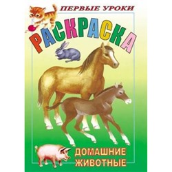 Раскраска А5 8л Посмотри и раскрась-Первые уроки "Домашние животные" (011349) 03060 Хатбер