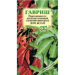 Виноград девичий пятилисточковый Дон Жуан, 5 шт семян