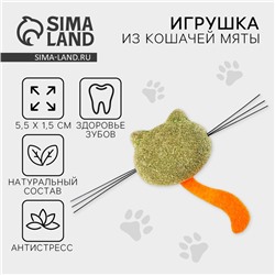 Игрушка для кошек «Кошачья мордочка» из кошачьей мяты, 5,5 х 1,5 см