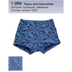 Трусы для мальчиков, 129Н, 1-29Н