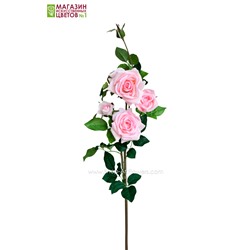 Роза 5 бутонов - светло-розовый