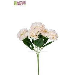 Гортензия куст (5 соцветий) - 11 расцветок - светло-розовый