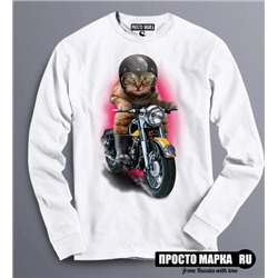Толстовка Свитшот Кот мотоциклист