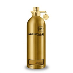 MONTALE MR.AOUD edp 100ml TESTER UAE