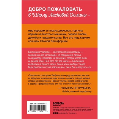 Школа в Ласковой Долине. Парень моей сестры (книга №1). Френсин Паскаль