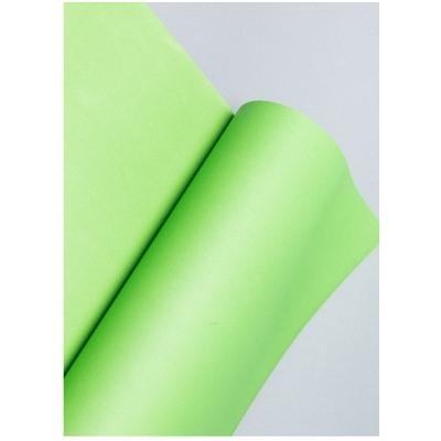 Бумага однотонная матовая 110г 60х60см 20листов. зеленая