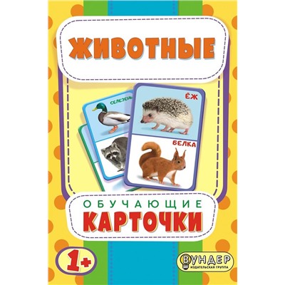 Обучающие карточки