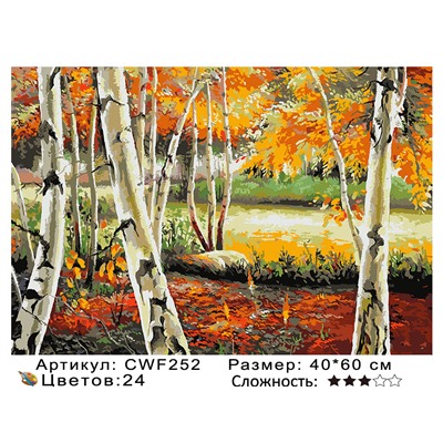 CWF252 рисование по номерам 40*60 цвет.холст