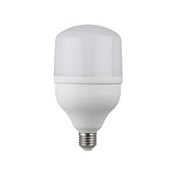 Лампа светодиодная "ЭРА" LED smd POWER 20w-2700-E27 (теплый свет)