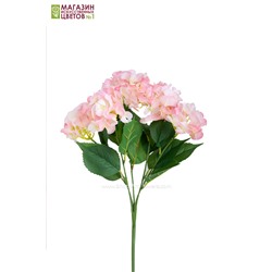 Гортензия куст (5 соцветий) - 11 расцветок - розовый