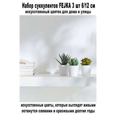 Набор суккулентов FEJKA 3 шт