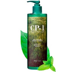 Безсульфатный шампунь для волос ESTHETIC HOUSE CP-1 Daily Moisture Natural Shampoo, 500ml