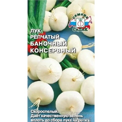 Лук репчатый Баночный консервный