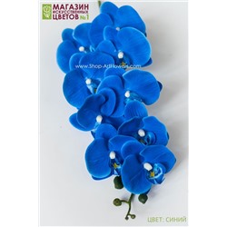 Орхидея фаленопсис "Жозель" (9 цветков) - 7 расцветок - синий