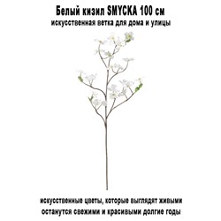 Белый кизил SMYCKA 100 см