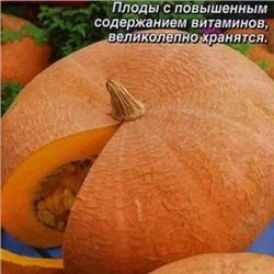 Тыква крупноплодная Бамбино