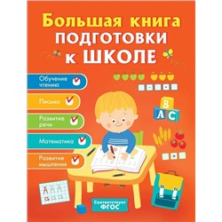 Уценка. Большая книга подготовки к школе