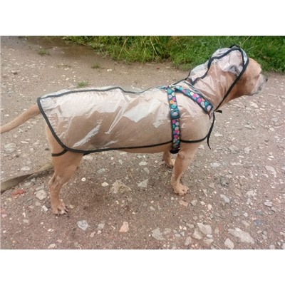 Дождевик с капюшоном для собак OSSO, р. 75 (ДС 75 см), прозрачный, окантовка микс цветов