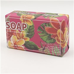 ASNAGHI  Мыло для лица и тела Tropical Soap Парфюмированное GARDENIA  250г  (А-026)  (ТВ-7686)