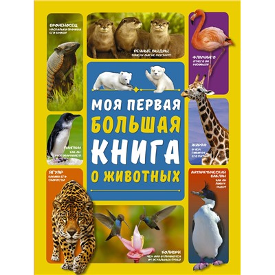 368539 АСТ Л. Вайткене , Д. Ермакович "Моя первая большая книга о животных"