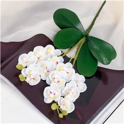 Цветы искусственные "Орхидея королевская" 3,5х28 см, белый