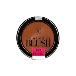 Румяна TF Luminous Blush пудровые с шиммер эффектом, тон 604 пепельный розовый