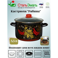 Кастрюля 5,5 л цил. Рябина 7RD221S черн