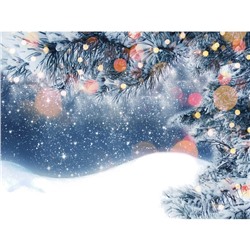 Фотобаннер, 250 × 200 см, с фотопечатью, люверсы шаг 1 м, «Снег»