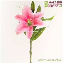 Лилия малая - темно-розовый