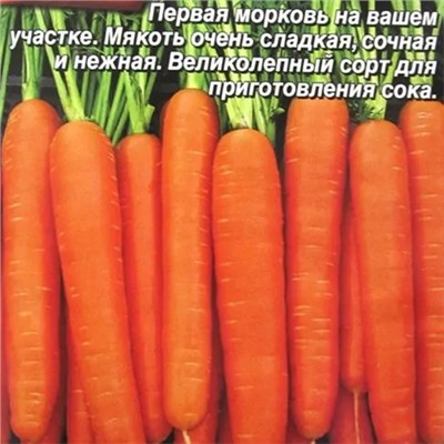 Морковь Сахарный пальчик