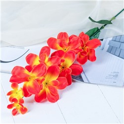 Цветы искусственные "Орхидея амезиелла" d-8 см 65 см, оранжевый