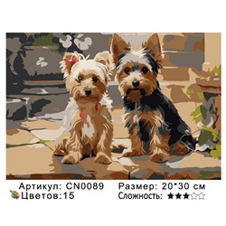 CN0089 Картины по номерам 20*30 цвет.холст