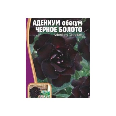 Адениум Черное Болото 3 шт (Редкие овощи)