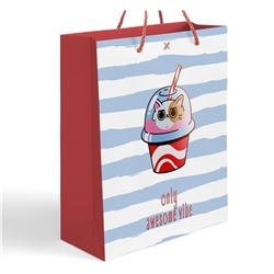 Пакет подарочный большой 26х32х12 см LOREX GIFT BAG серия COCKTAIL KITTENS