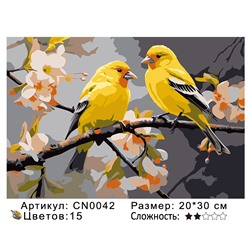 CN0042 Картины по номерам 20*30 цвет.холст