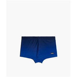 Купальные шорты мужские Atlantic, 1 шт. в уп., полиамид, темно-синие + голубые, KMS-317