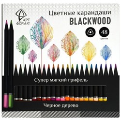 Карандаши 48цв трехгранные Blackwood супермягкие черное дерево AF03-051-48 ARTформат