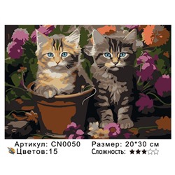 CN0050 Картины по номерам 20*30 цвет.холст