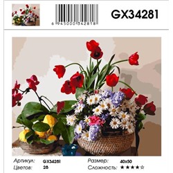Картина по номерам на подрамнике GX34281