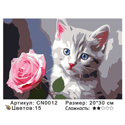 CN0012 Картины по номерам 20*30 цвет.холст