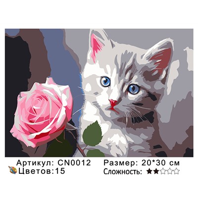 CN0012 Картины по номерам 20*30 цвет.холст