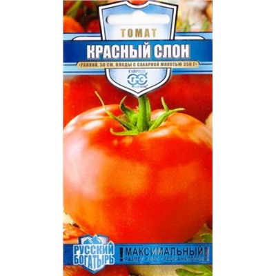 Томат Красный Слон (Код: 85638)