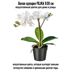 Орхидея FEJKA 9-28 см