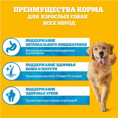 Сухой корм Pedigree для взрослых собак всех пород, говядина, 2,2 кг.