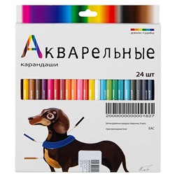 Акварельные карандаши, 24 цвета