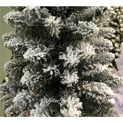 Искусственная елка Pensil Pine заснеженная 240 cм, ПВХ (Winter Deco)
