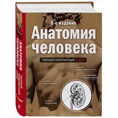 340392 Эксмо Боянович Ю.В. "Анатомия человека: полный компактный атлас. 6-е издание"