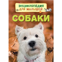 Собаки (Энц. для малышей)